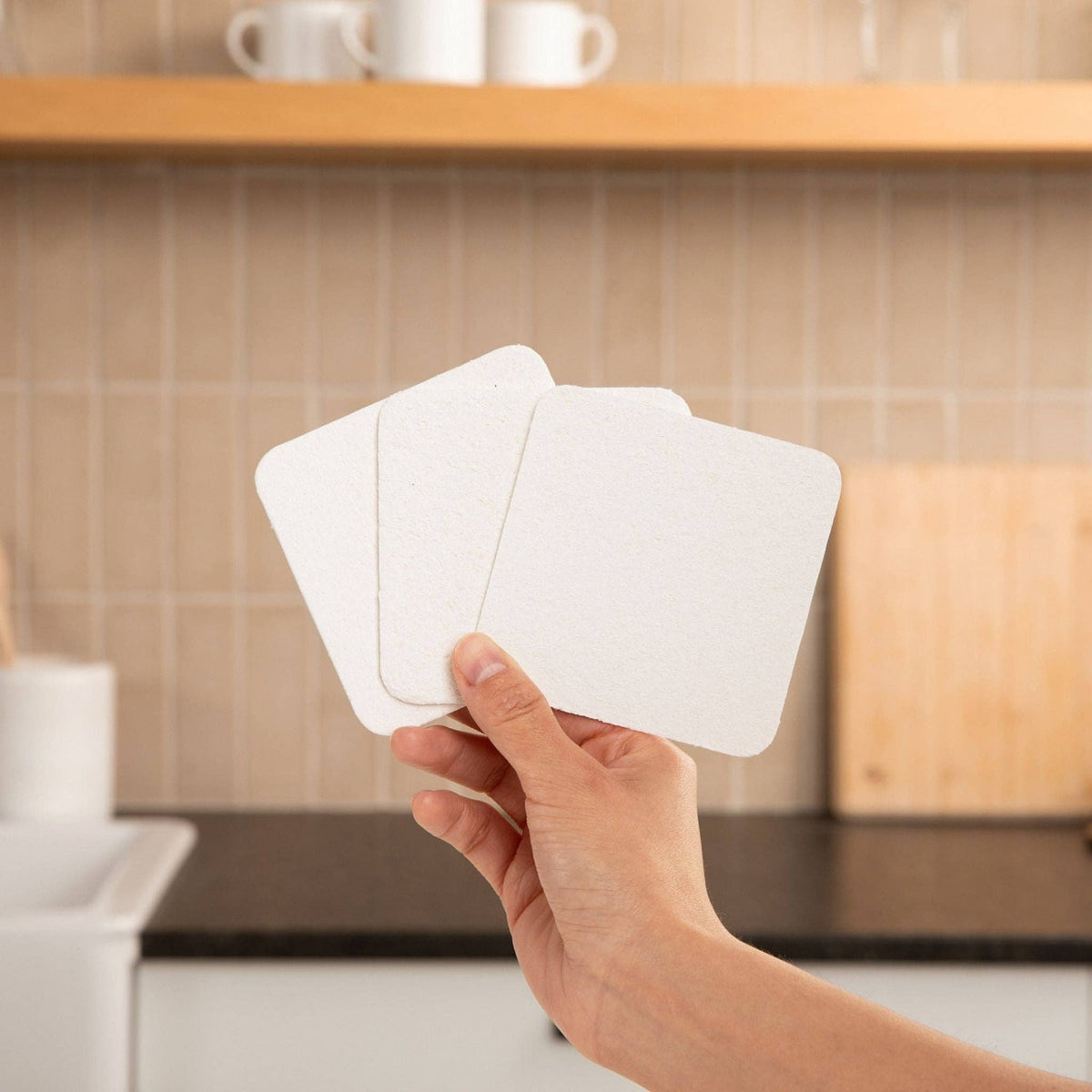 Plastno - Soak Sponge (3 Sponges)