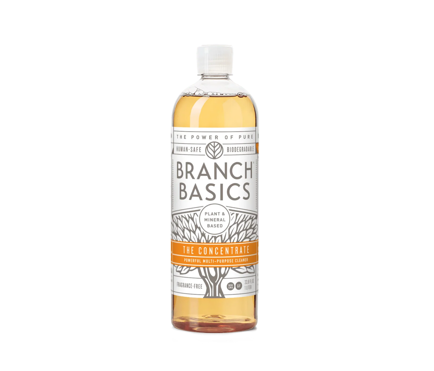 Branch Basics The Concentrate