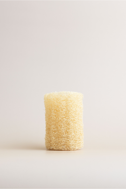 Luffa by Paca Botánica