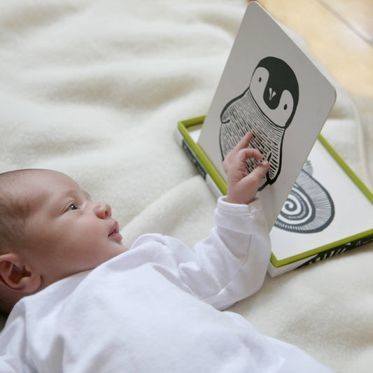 Wee Gallery - Art Cards for Baby - Black and White Animals