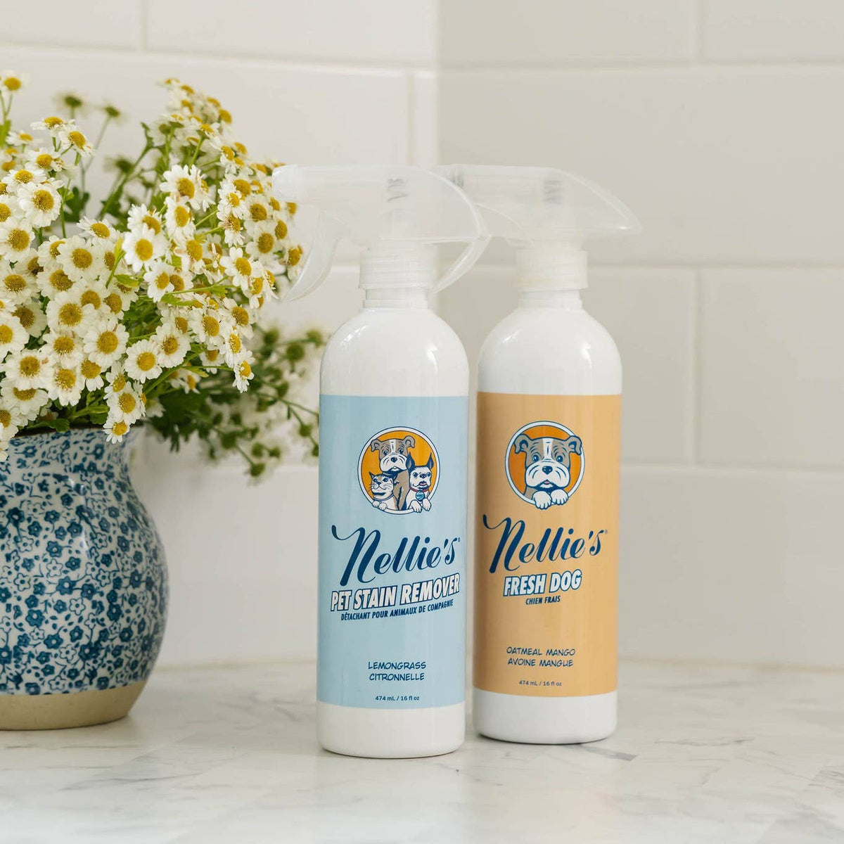 Pet Stain and Odour Remover