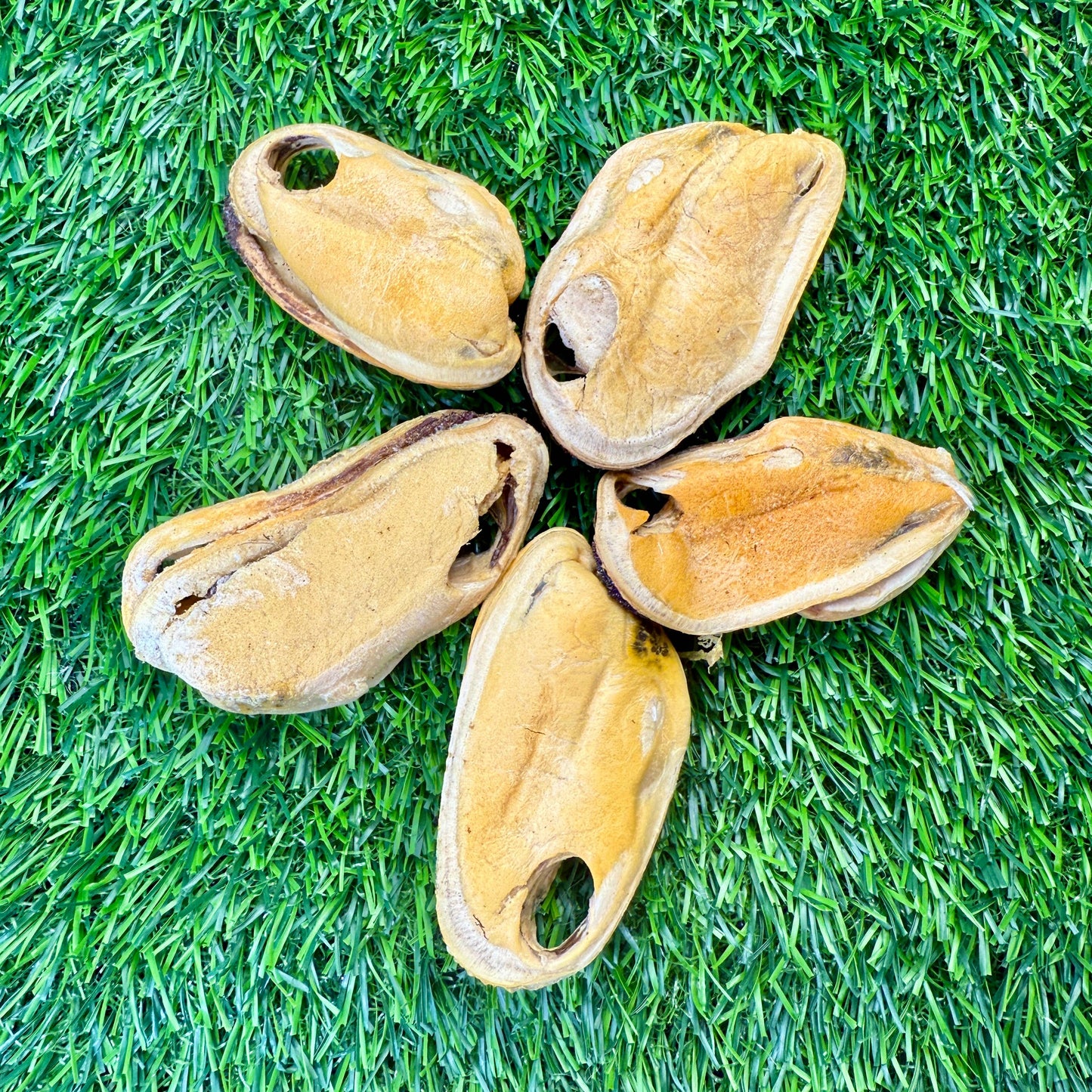 Golden Nibbles - New Zealand Green-Lipped Mussel - 2oz Bag - Freeze-Dried
