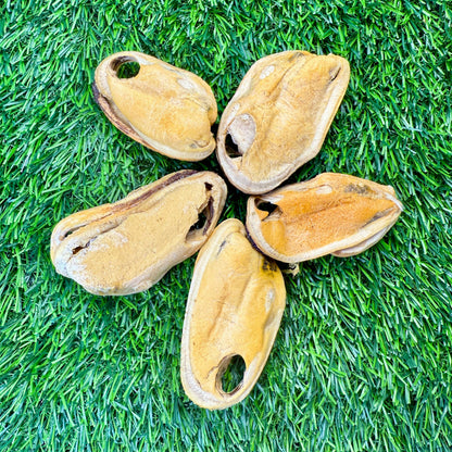 Golden Nibbles - New Zealand Green-Lipped Mussel - 2oz Bag - Freeze-Dried
