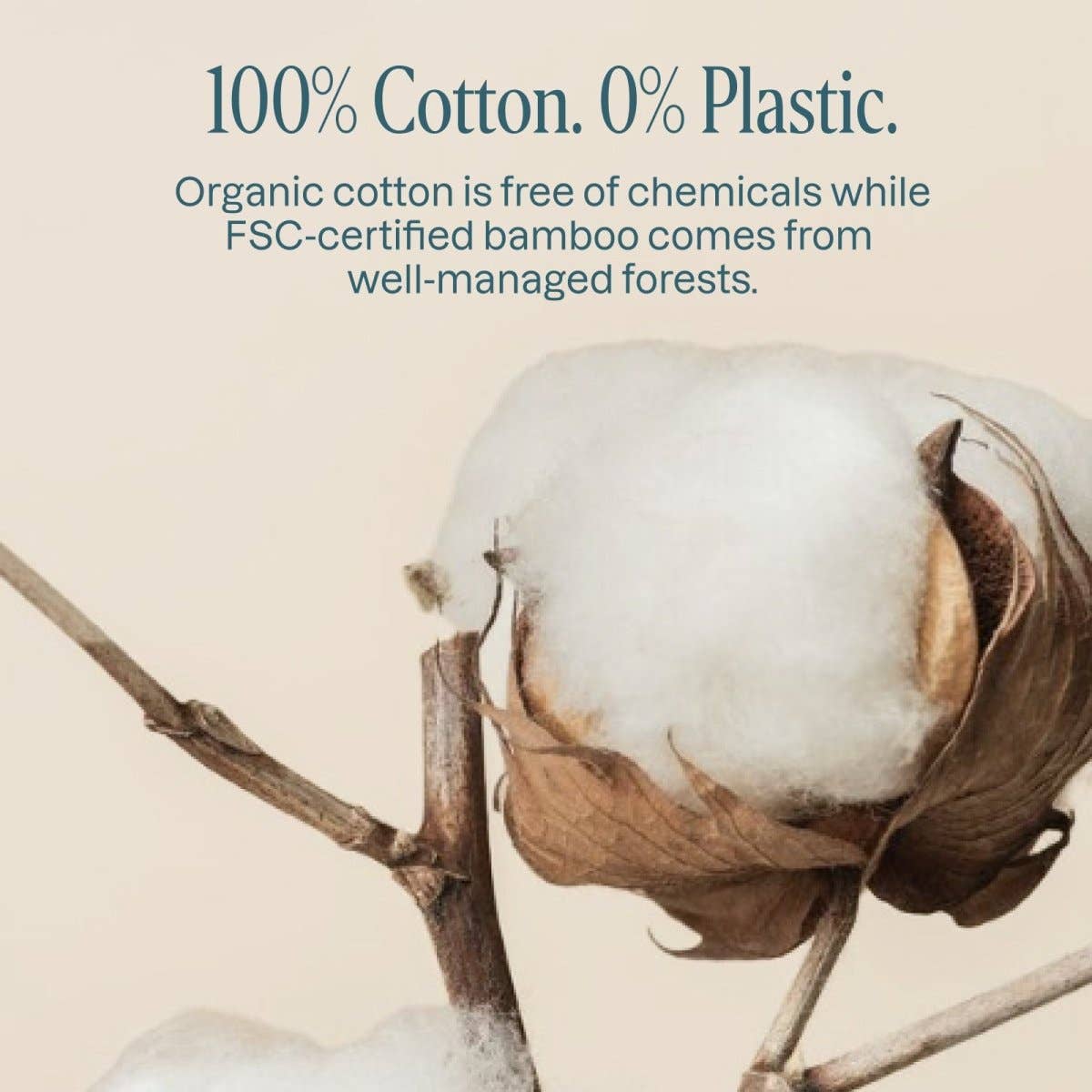 Cliganic - Organic Cotton Swabs - Bamboo Sticks 200 Count