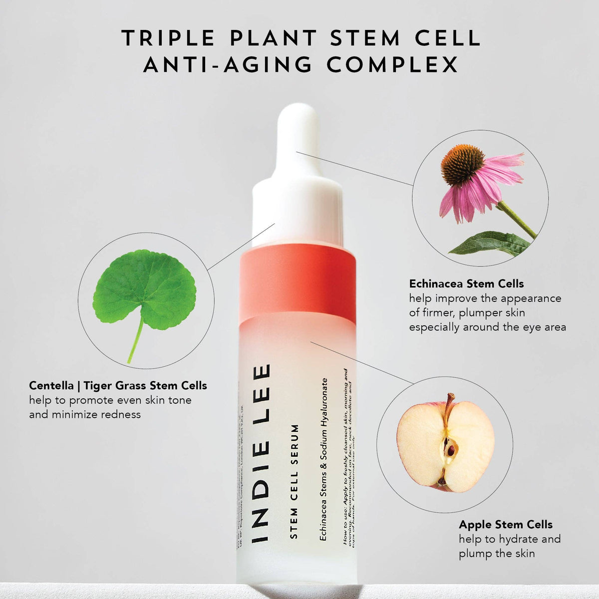 Indie Lee - Stem Cell Serum *TESTER*