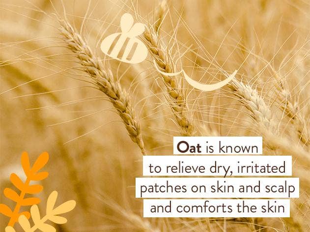 Babo Botanicals - Moisturizing Oat & Calendula Body Lotion
