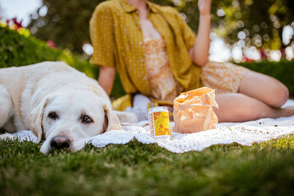 For Bitter For Worse - Hosting Bundle Nonalcoholic wine spritz tonic Dry January