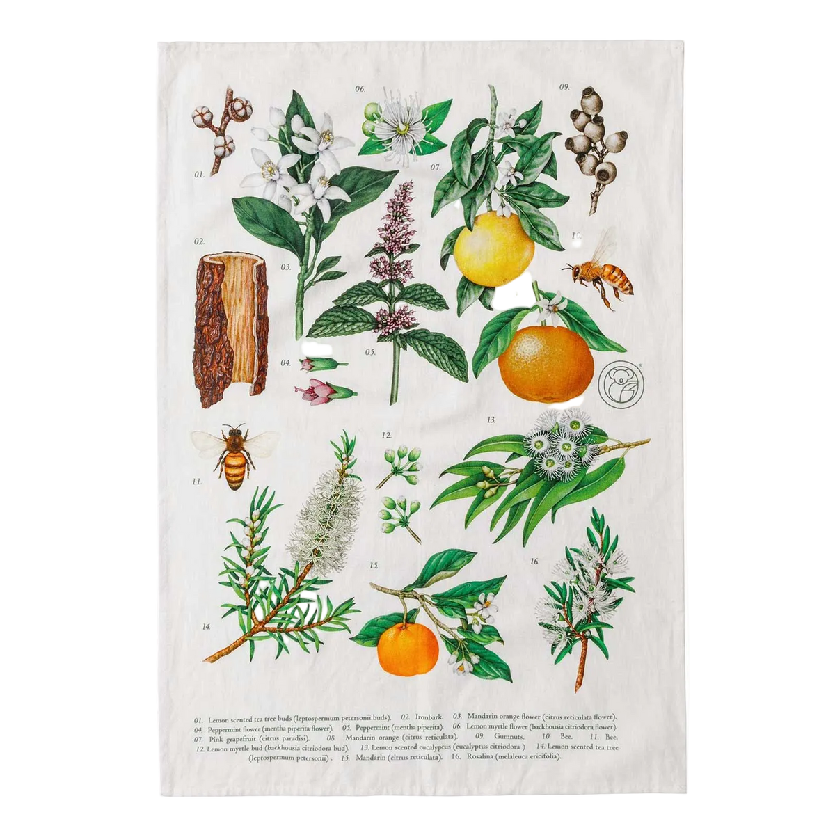 Tea Towel - Terra Botanica by Koala Eco