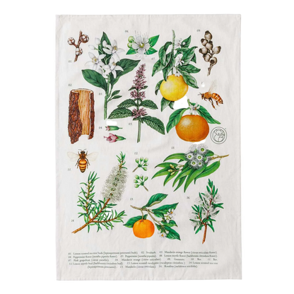 Tea Towel - Terra Botanica by Koala Eco