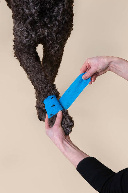 PATCH Pet Eco First-Aid Kit for Pets