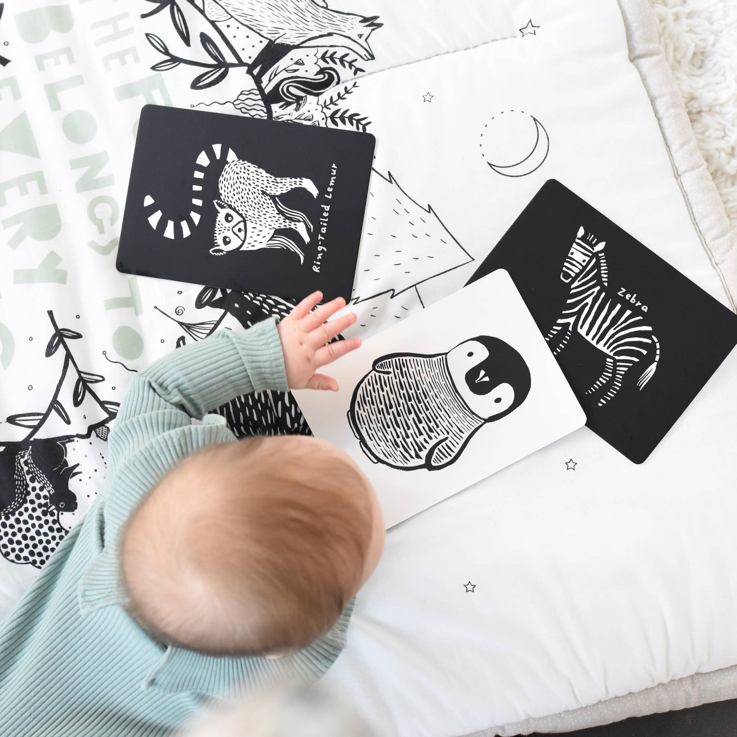 Wee Gallery - Art Cards for Baby - Black and White Animals