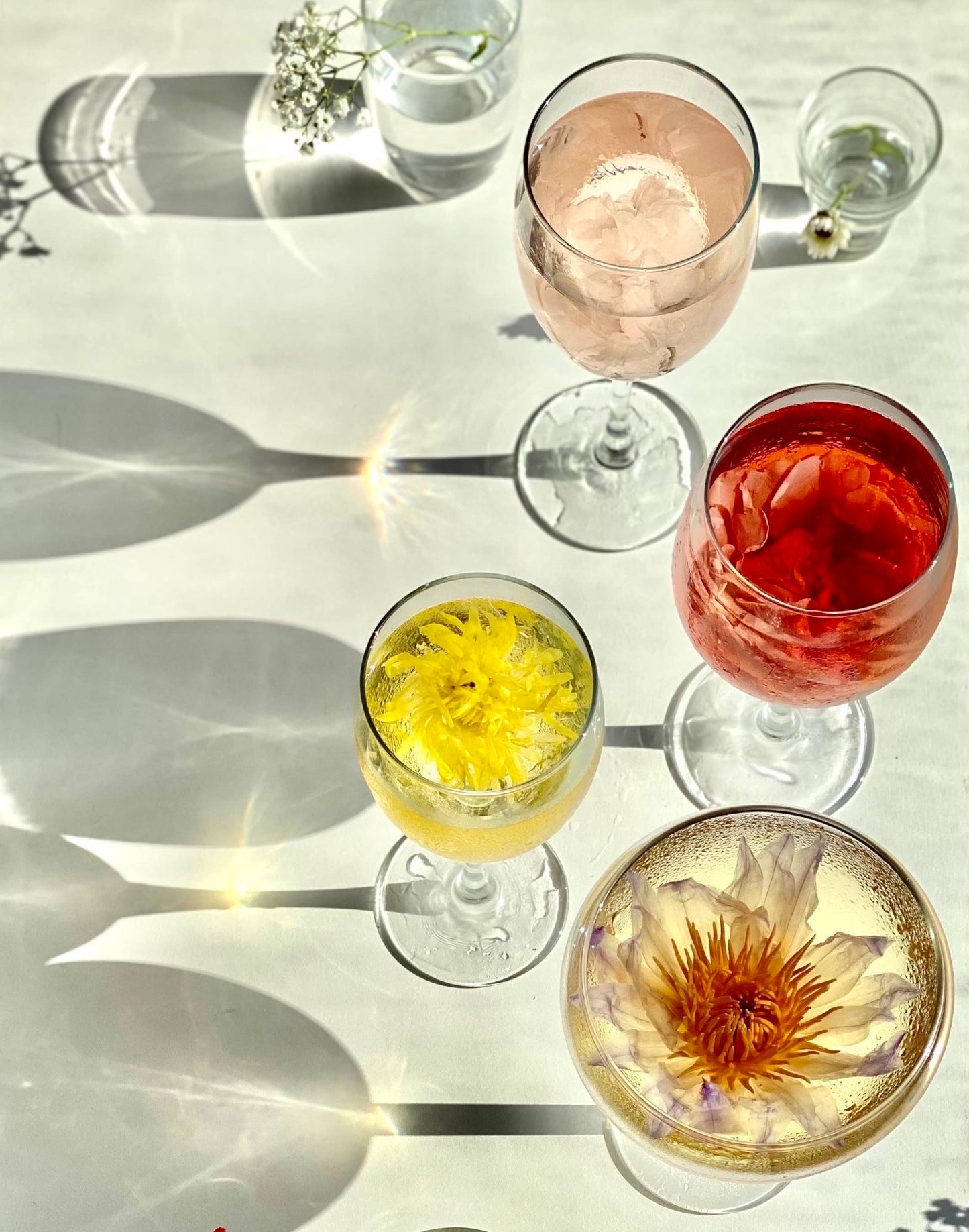 Individually Wrapped Rose Flower Tea
