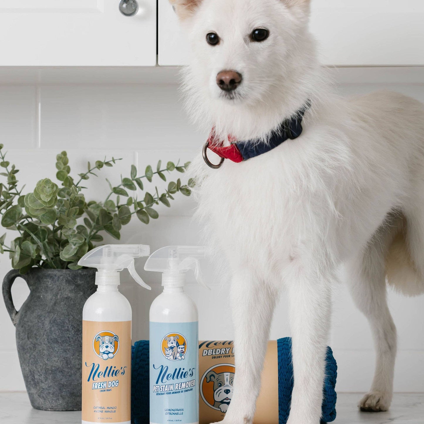 Pet Stain and Odour Remover