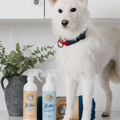 Pet Stain and Odour Remover