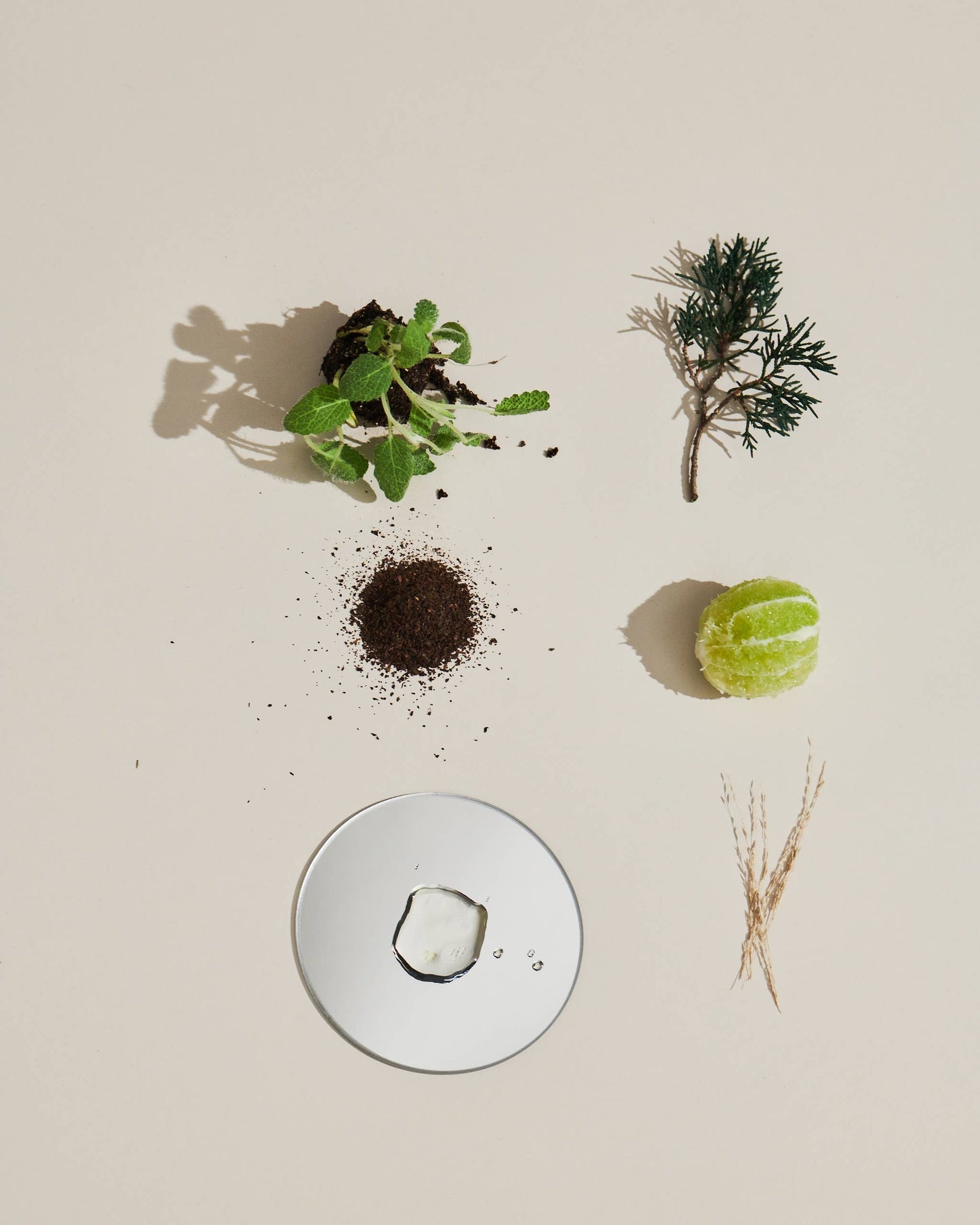 SPARITUAL - Body Salve Jasmine Tuberose