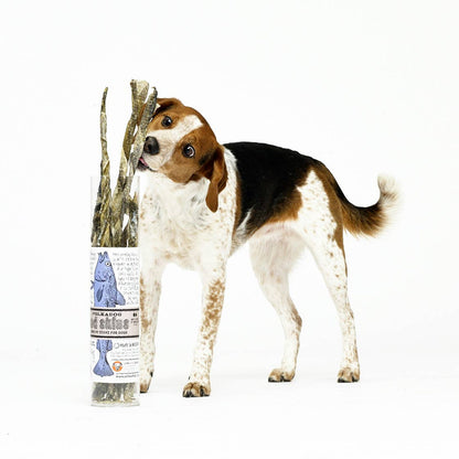 Cod Skins - 2.5oz Tube - Dog Treats