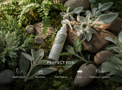Grow Fragrance - Woodland Sage Air + Fabric Spray
