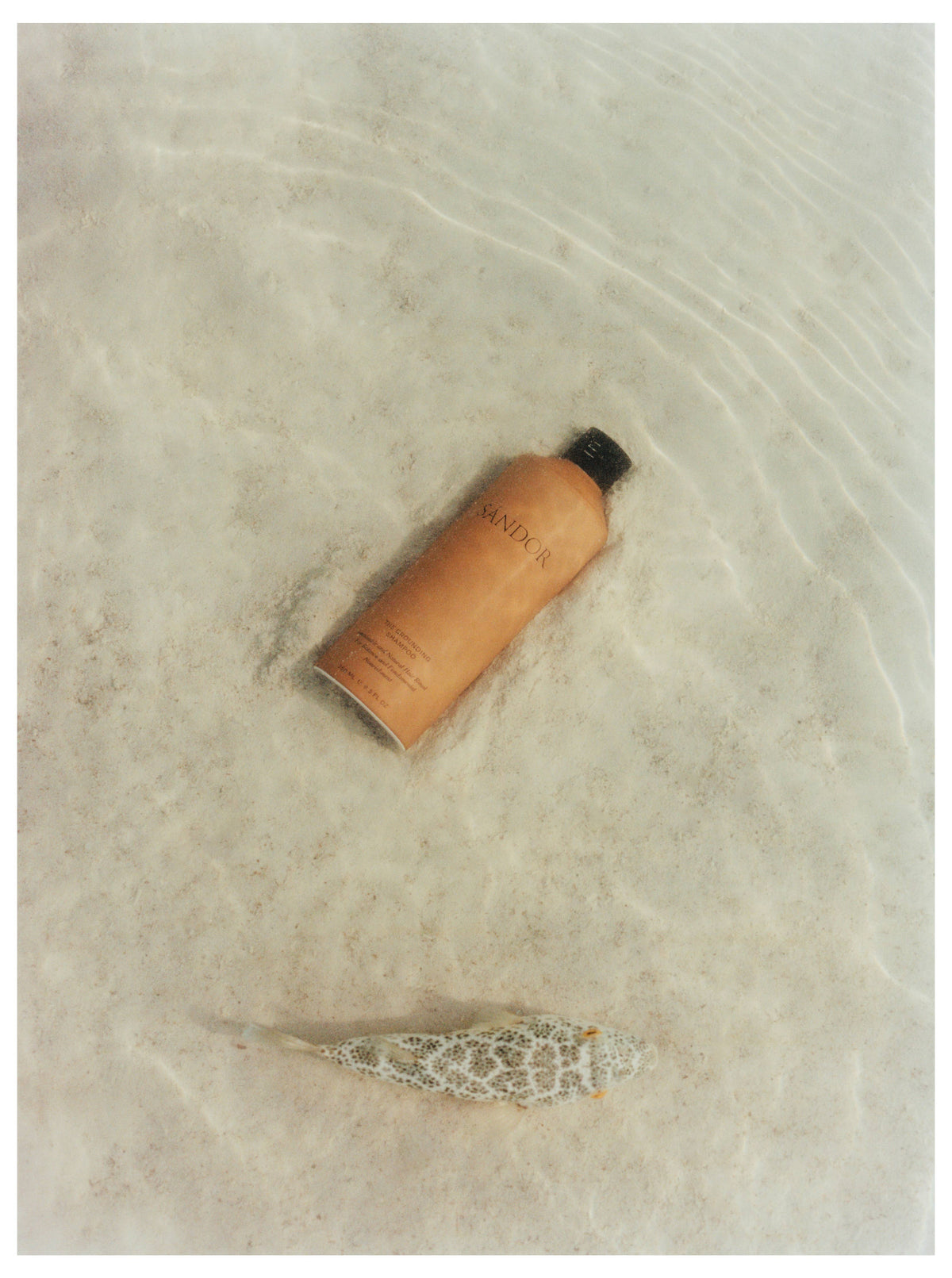 The Grounding Shampoo