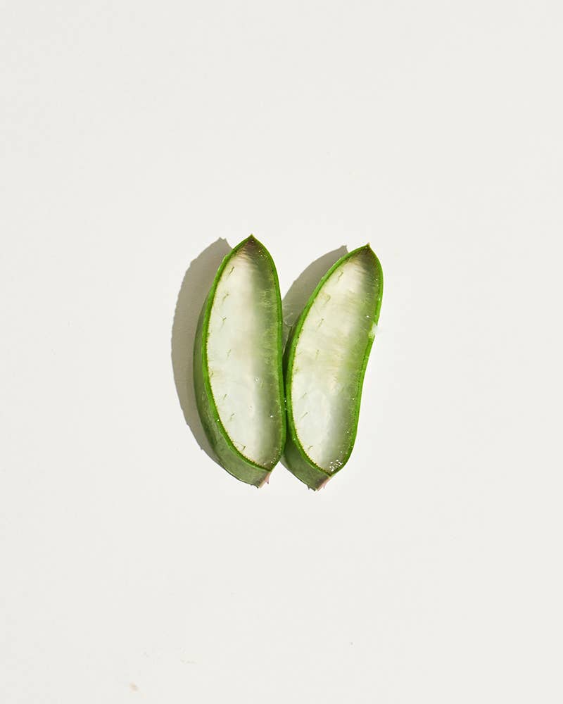 SPARITUAL - Hydrating Moisturizer Citrus Cardamom Foot Cream