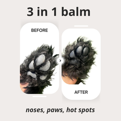 Dog Paw Balm Antifungal Antibacterial Healing 2 oz