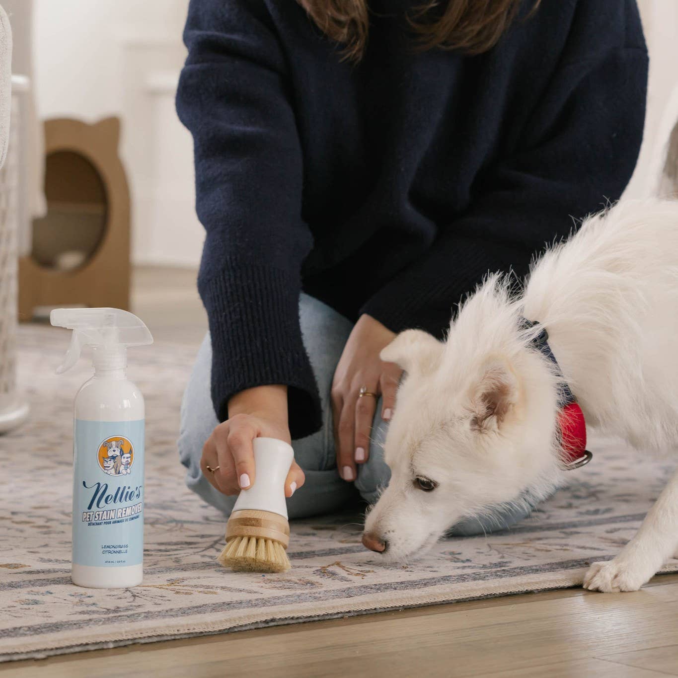 Pet Stain and Odour Remover