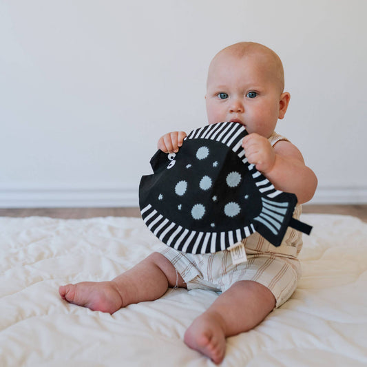 Wee Gallery - Organic Crinkle Toy - Fish
