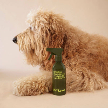 Rinseless Shampoo