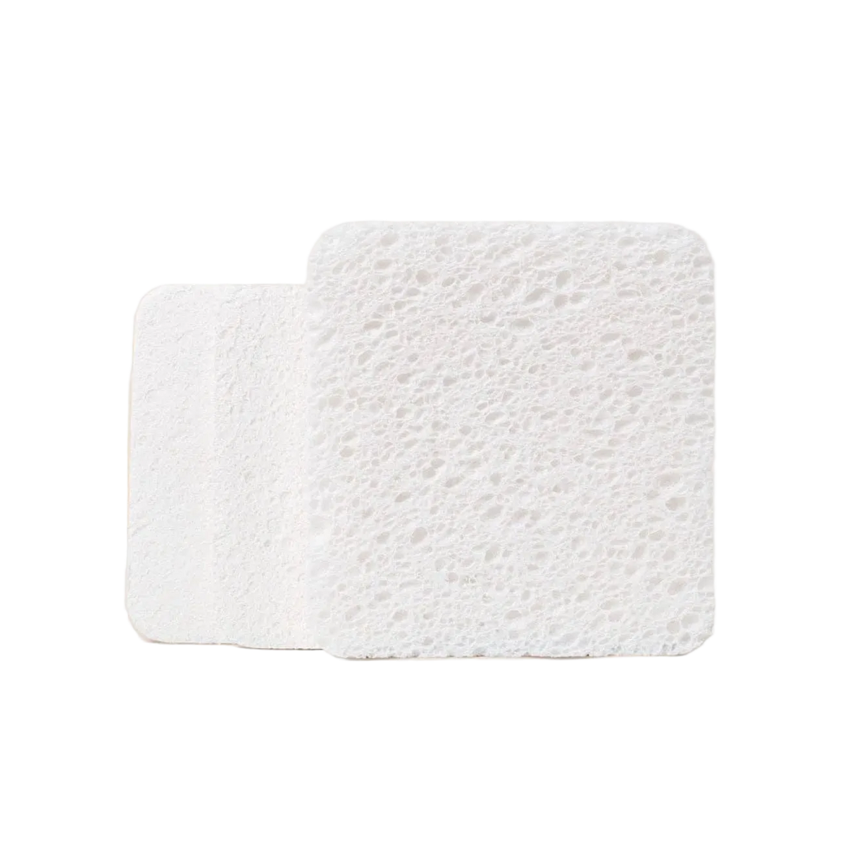 Soak Sponge (3 Sponges) by Plastno