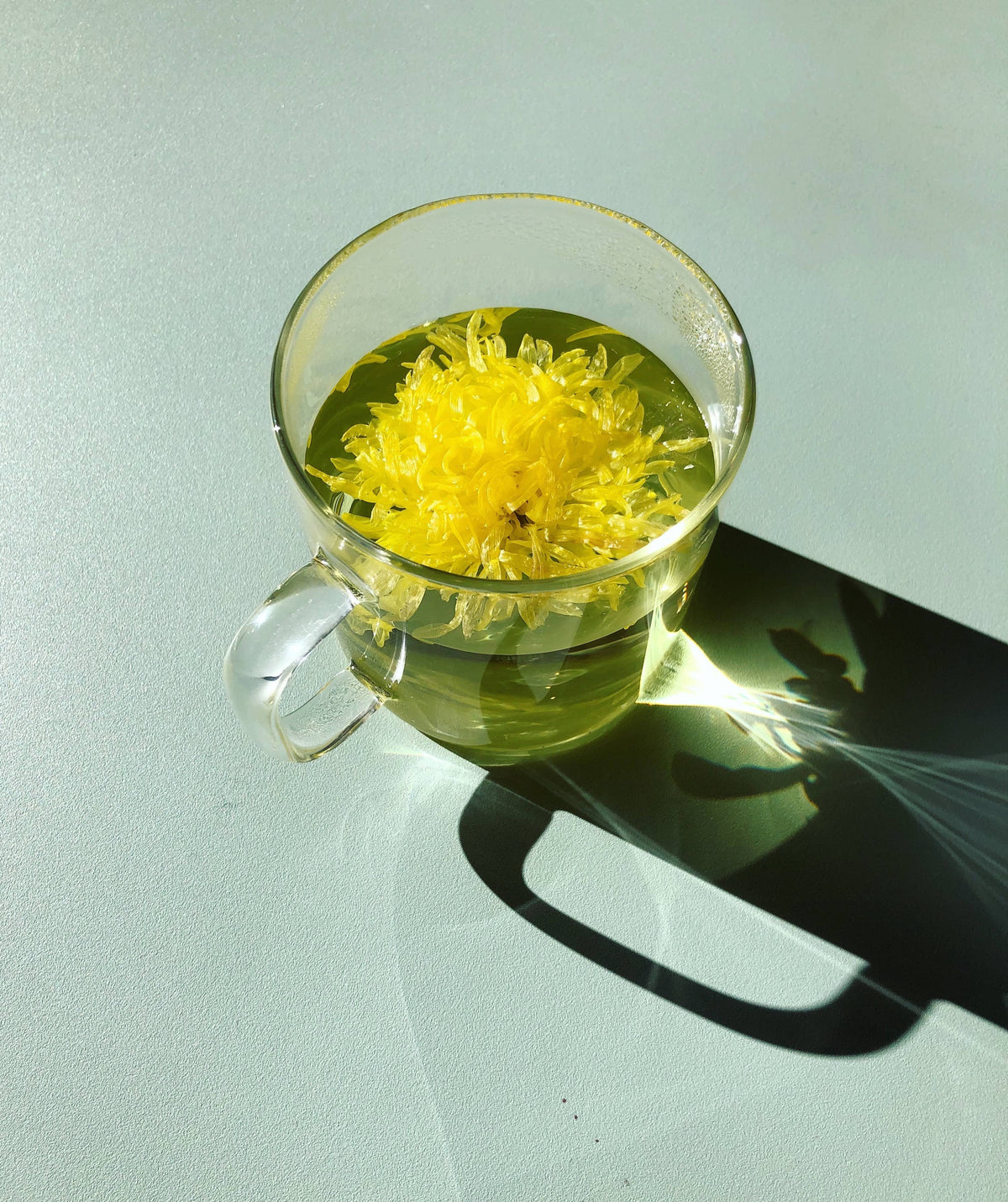 Individually Wrapped Rose Flower Tea