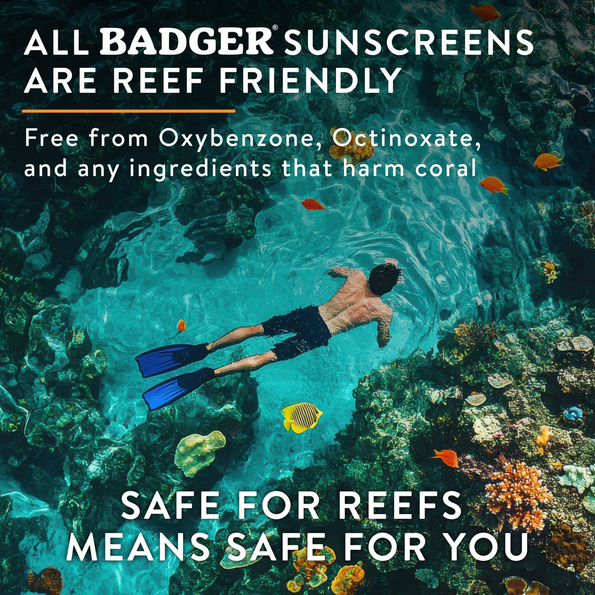 Badger - Badger Mineral Sunscreen Lip Balm SPF 15, Zinc Oxide 18ct