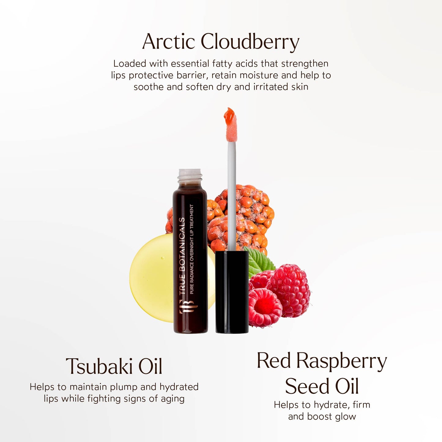 Overnight Repair Lip Treatment