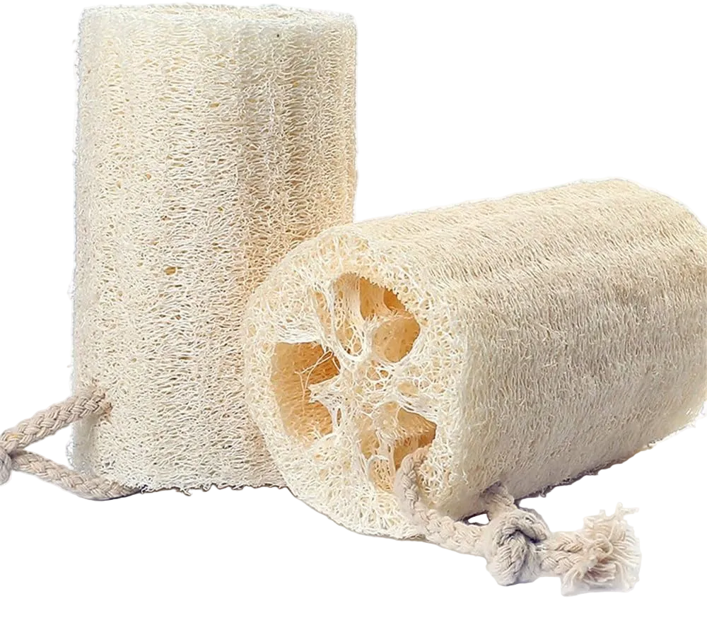 Natural Loofah 5 inch by Dome