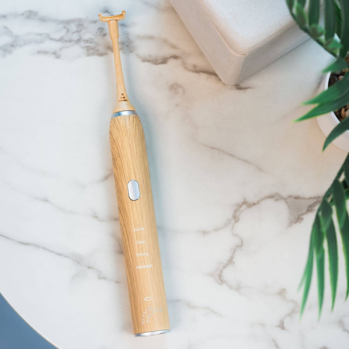 Bamboo Sonic Flosser
