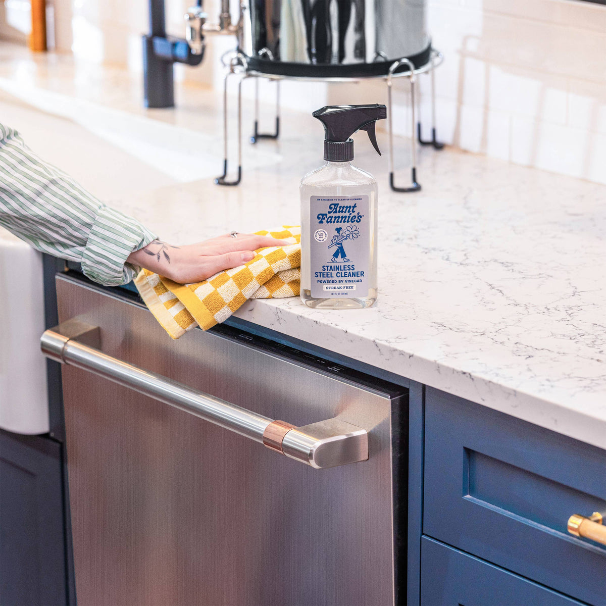 Stainless Steel Cleaner