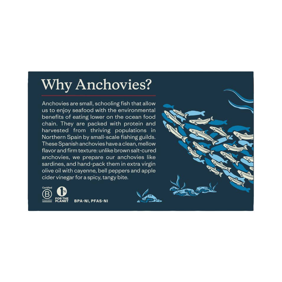 Patagonia Provisions - Tinned Fish - Spicy Spanish White Anchovies