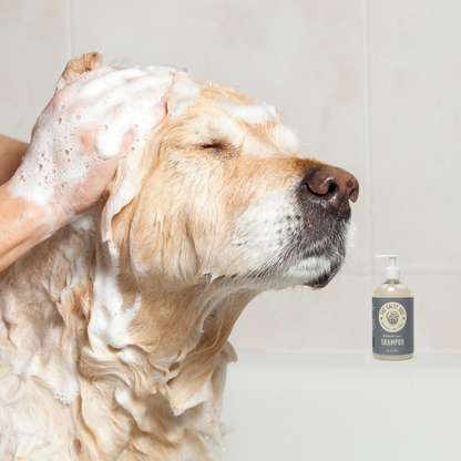 The Salty Dog Pet Co. - Hypoallergenic Dog Shampoo with Oatmeal + Honey