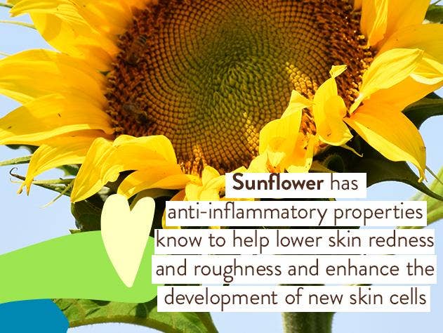 Babo Botanicals - Super Shield Sunscreen Lotion SPF50