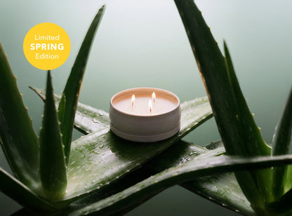 Cucumber Aloe 3-Wick Candle by Grow Fragrance