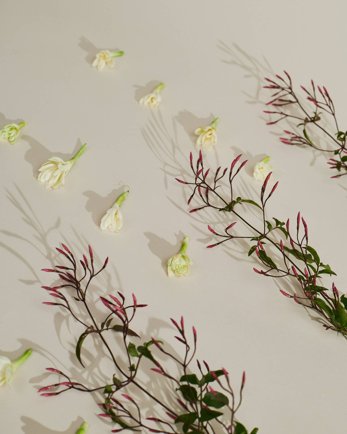 SPARITUAL - Body Salve Jasmine Tuberose