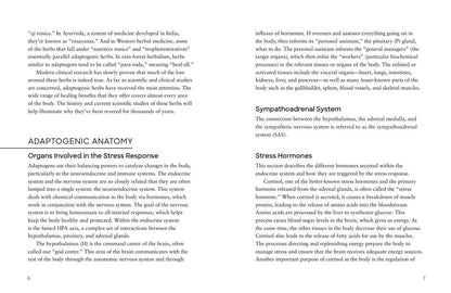Adaptogens by Adriana Ayales