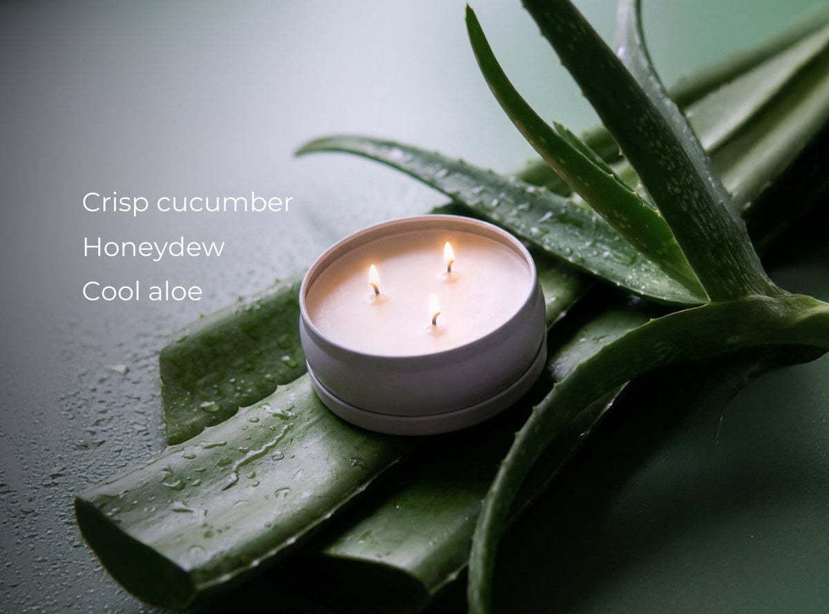 Cucumber Aloe 3-Wick Candle by Grow Fragrance