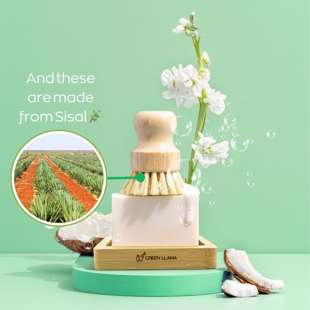 Eco-Friendly Dish Washing Starter Pack - Sparkling Clean & Green by Green Llama