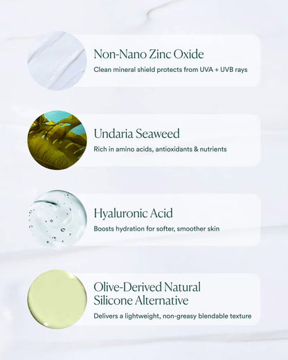 Marine Screen SPF 50 Mineral Sunscreen by OSEA