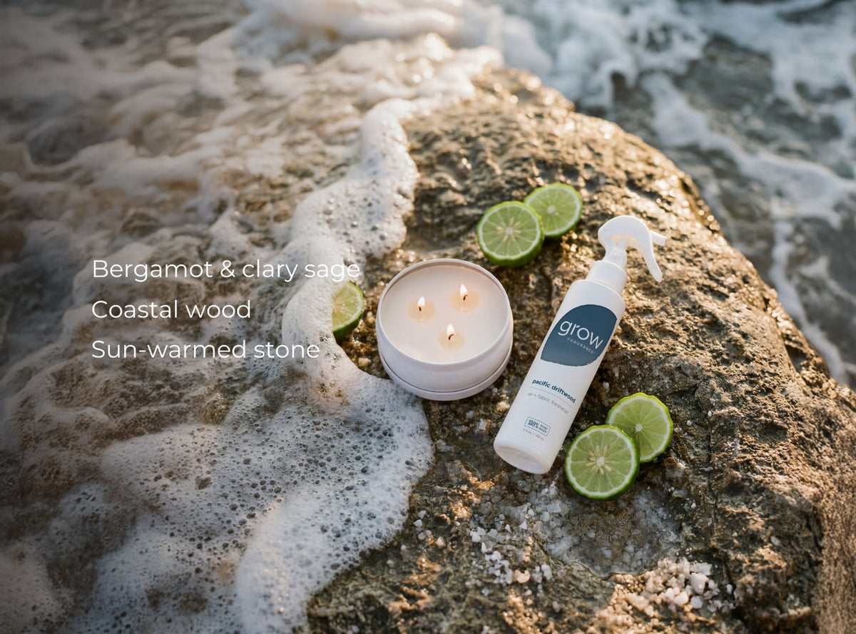 Pacific Driftwood 3-Wick Candle by Grow Fragrance