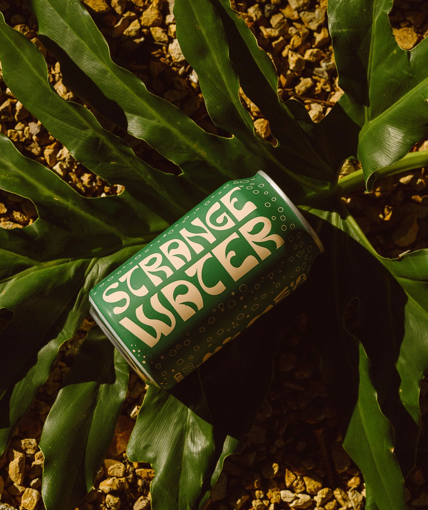 Strange Water | Sparkling Coconut Water Singles