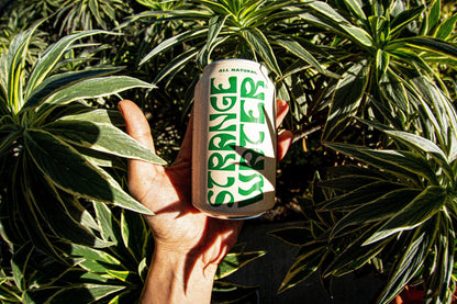 Strange Water | Coconut Water Singles