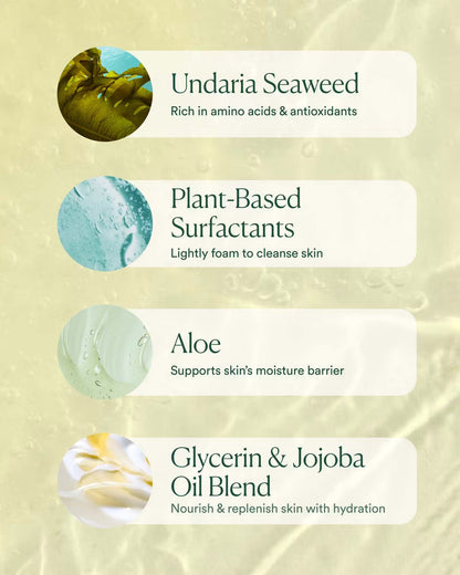 Undaria Algae™ Body Wash by OSEA