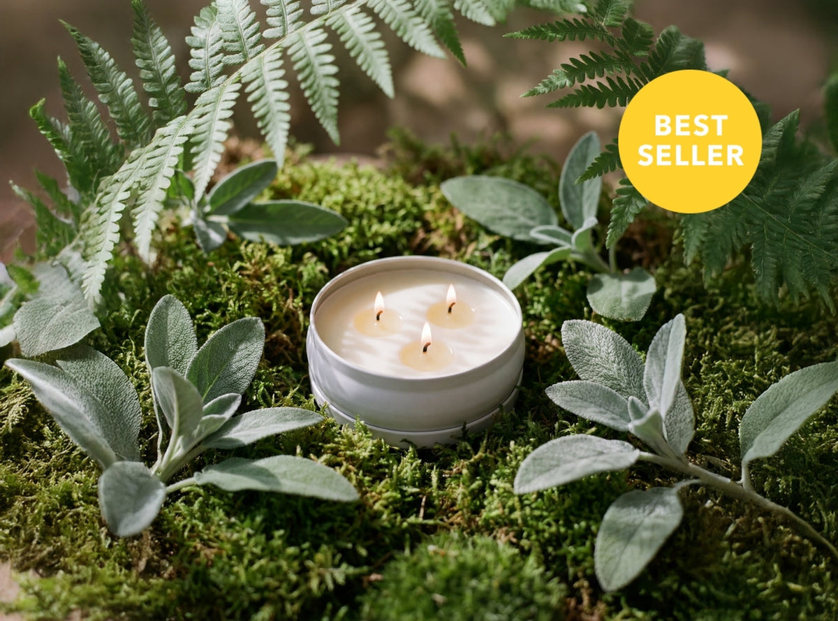 Woodland Sage 3-Wick Candle by Grow Fragrance