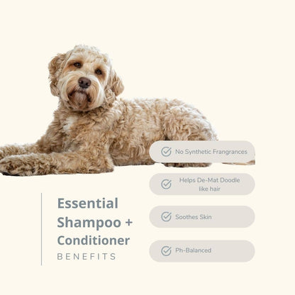 Moisturizing Dog Conditioner Aloe + Shea Butter