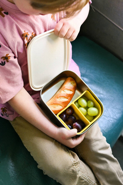 STAINLESS STEEL LUNCHBOX with compartments Funky Dogs